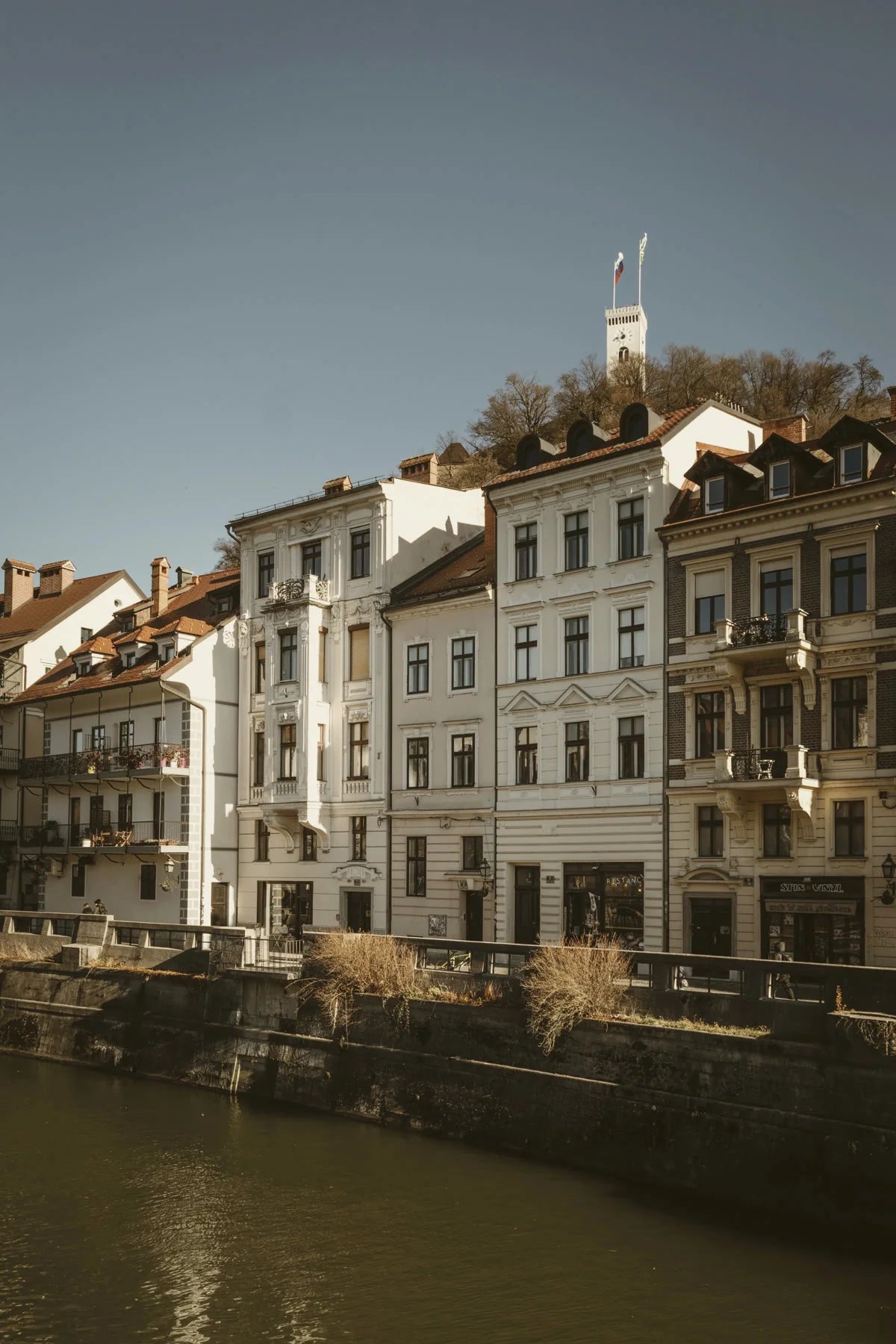 Sep 10th - City walk for small dogs in Ljubljana
