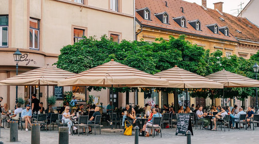 City walk for small dogs - Celje, Slovenia