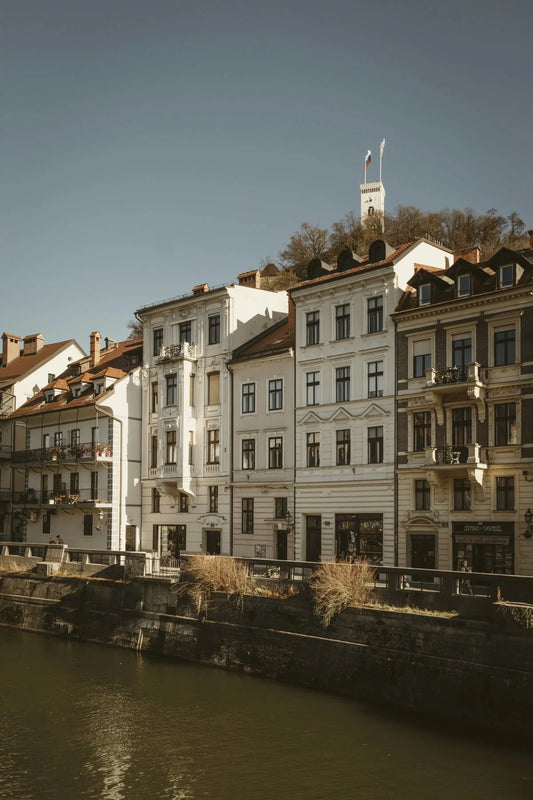 Sep 10th - City walk for small dogs in Ljubljana