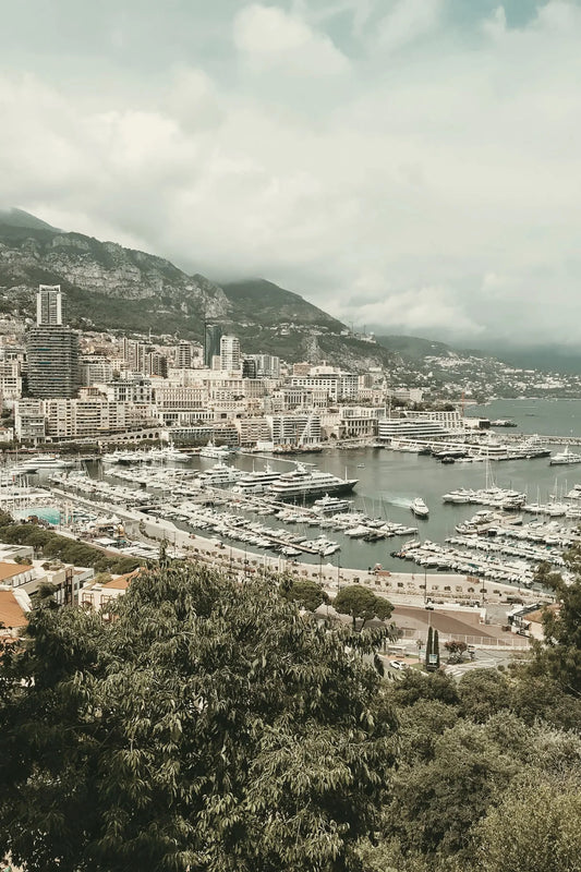 Sep 12th - SUPPLE dog walk in Monaco