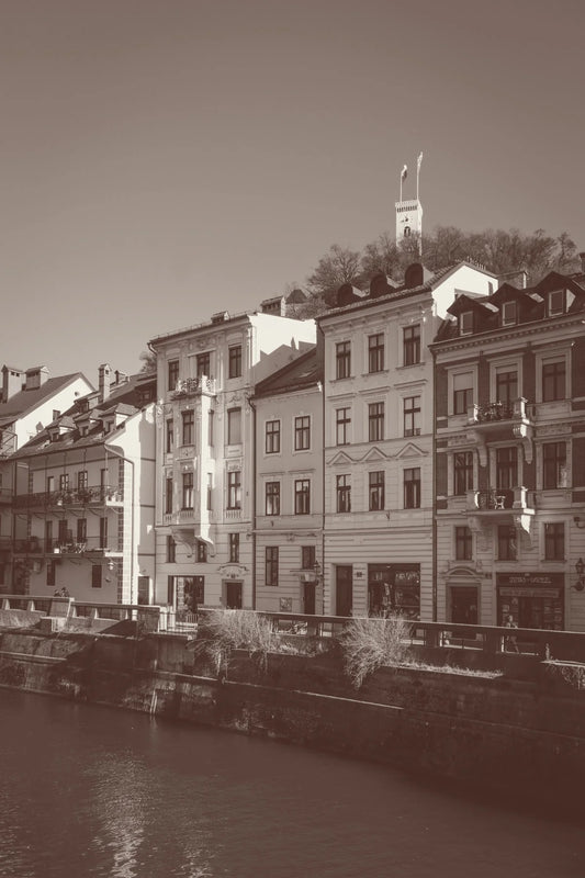 Jul 16th - City walk for small dogs in Ljubljana