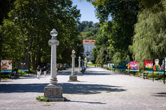 City walk for small dogs - Ljubljana, Slovenia