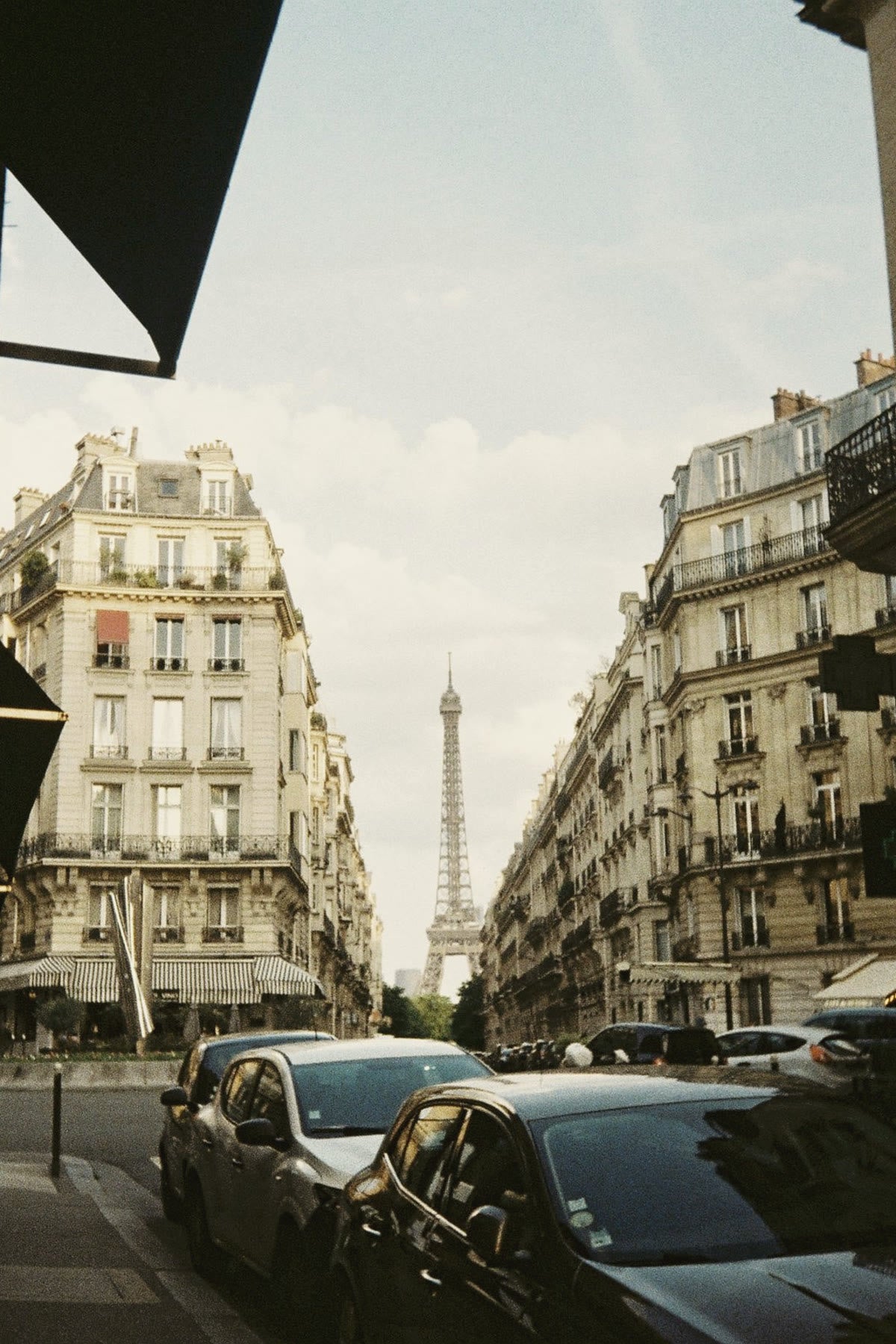 Jul 23rd - Paris city walk for small dogs