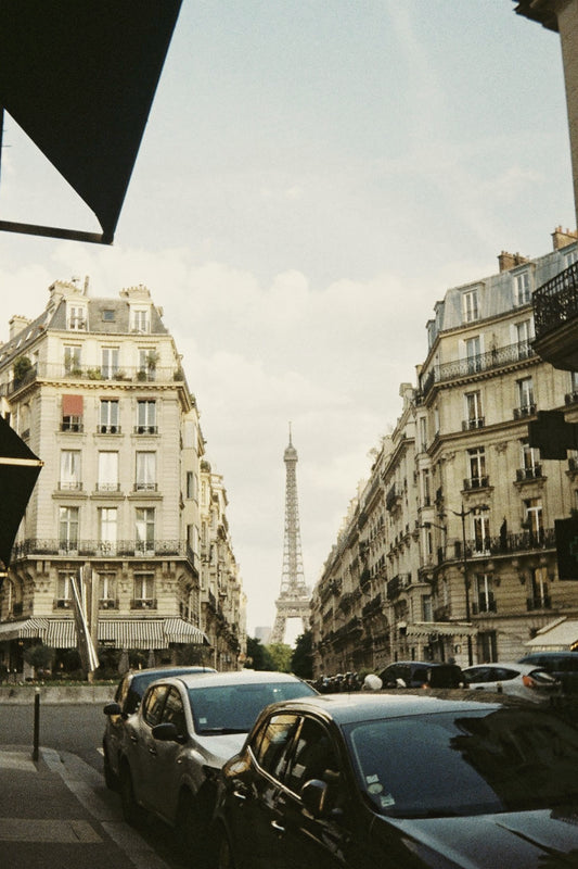 Jul 23rd - Paris city walk for small dogs